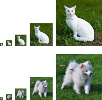 ../_images/cat_dog_pixels.png